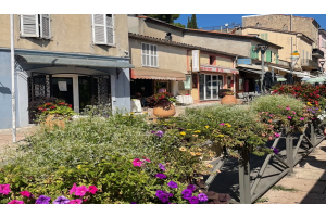 Artistry of the French Riviera: A Journey through Vallauris Ceramics with Picasso